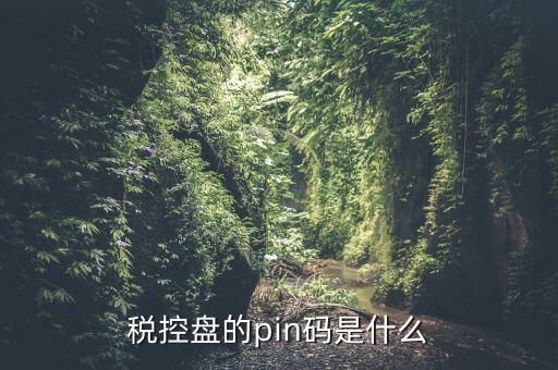 報(bào)稅pin口令是什么，稅控盤的pin碼是什么