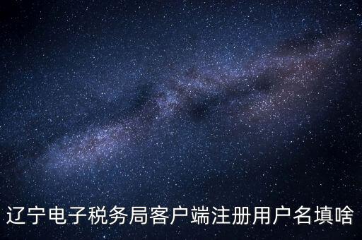遼寧省網(wǎng)上稅務(wù)局登錄需要什么，遼寧電子稅務(wù)局客戶端注冊用戶名填啥