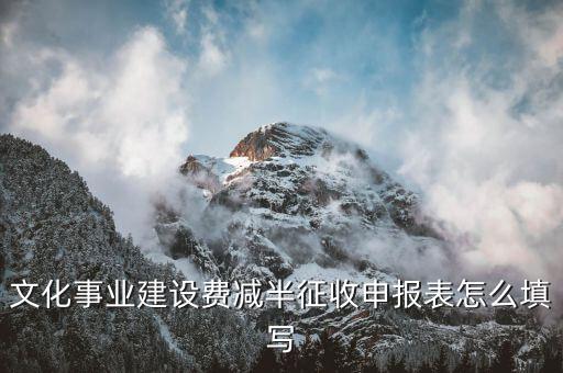 什么叫文化事業(yè)建設(shè)費(fèi)申報(bào)表，文化事業(yè)建設(shè)費(fèi)申報(bào)表怎么填