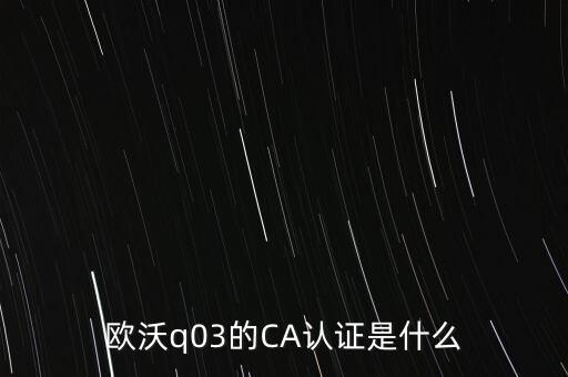 ca認(rèn)證密碼是什么意思，歐沃q03的CA認(rèn)證是什么