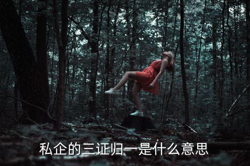 公司的三證合一是什么，什么是三證合一