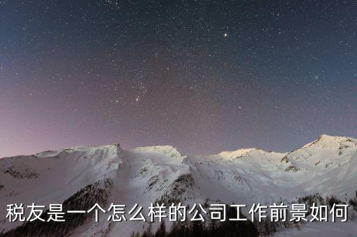 稅友是一個(gè)怎么樣的公司工作前景如何