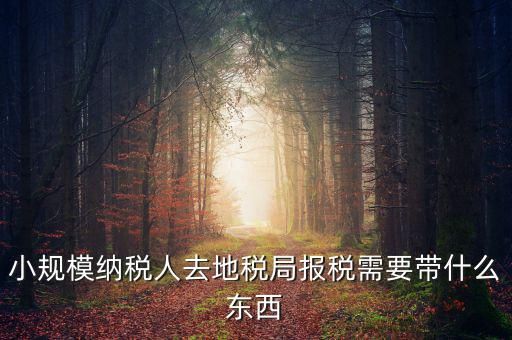 上門申報(bào)附加稅要帶什么資料，去地稅局繳納營(yíng)業(yè)稅金及附加需要帶什么資料