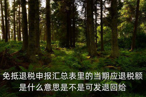 免抵退貨物應(yīng)退稅額是什么意思，免抵退應(yīng)退稅額是什么意思