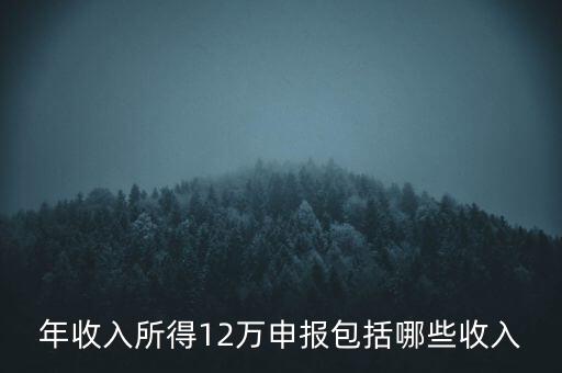 十二萬申報是什么，12萬個稅申報有什么用