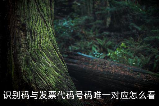 發(fā)票查詢識別碼是什么，識別碼與發(fā)票代碼號碼唯一對應(yīng)怎么看