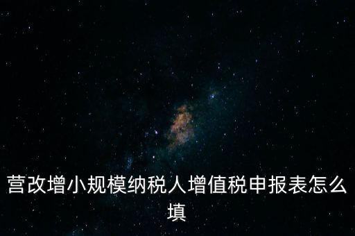 營(yíng)改增需要填什么表，營(yíng)改增小規(guī)模納稅人網(wǎng)上納稅申報(bào)需要填寫(xiě)幾張表