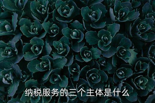 納稅服務(wù) 是什么，納稅服務(wù)的三個主體是什么