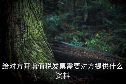 給對(duì)方開(kāi)增值稅發(fā)票需要對(duì)方提供什么資料