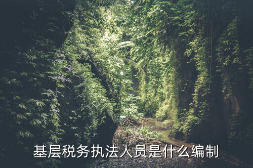 基層稅收?qǐng)?zhí)法干什么的，基層稅務(wù)執(zhí)法人員是什么編制