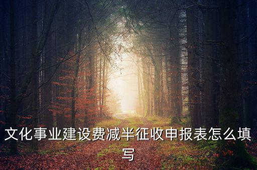 文化事業(yè)建設(shè)費(fèi)減半征收申報表怎么填寫