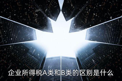 環(huán)境保護(hù)稅a類和b類什么區(qū)別，企業(yè)所得稅a類表和b類有什么區(qū)別