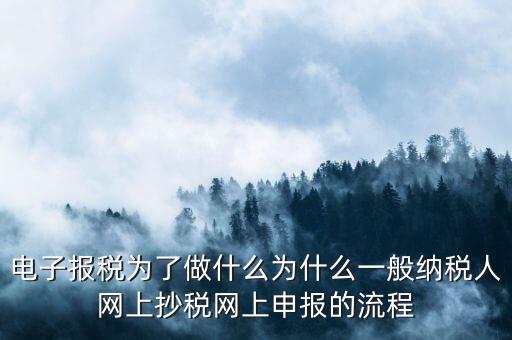 電子稅務申報是什么來的，電子申報納稅是怎么回事給報送紙質(zhì)申報材料一樣嗎