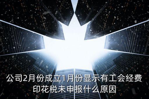 公司2月份成立1月份顯示有工會經(jīng)費(fèi)印花稅未申報什么原因