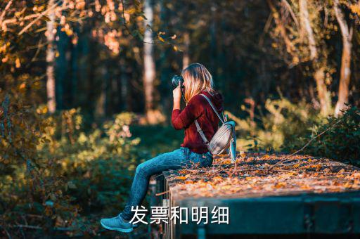 發(fā)票中的明細(xì)是什么意思，發(fā)票的明細(xì)條數(shù)控制在2000條是什么意思