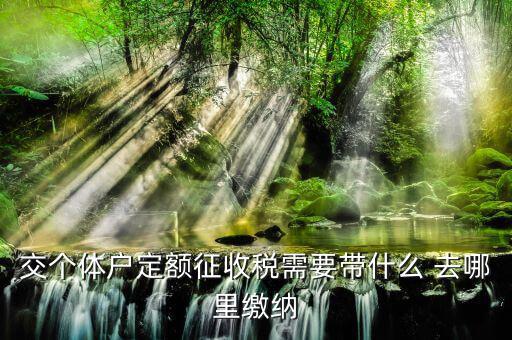 個(gè)體戶定額需要準(zhǔn)備什么，交個(gè)體戶定額征收稅需要帶什么 去哪里繳納
