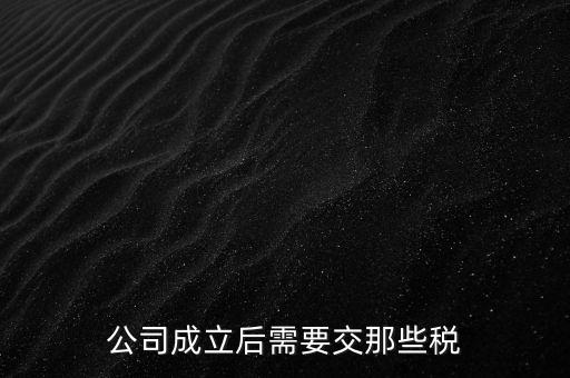 辦一個(gè)企業(yè)都需要交什么稅，公司成立后需要交那些稅