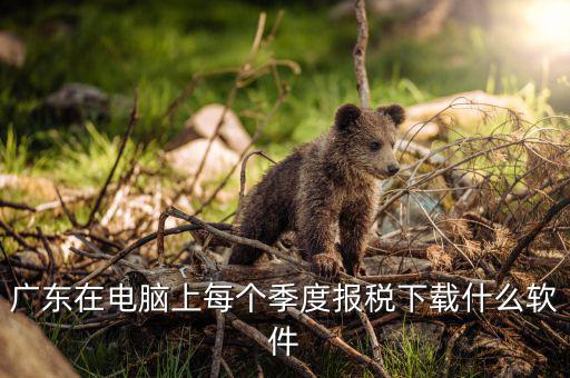 什么是報稅的客戶端呢，河北國稅網(wǎng)上申報客戶端和防偽稅控納稅接口 不都是報稅系統(tǒng)嗎 它