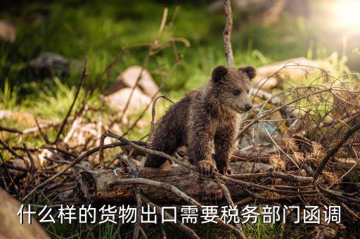 為什么要出口復(fù)函，國(guó)稅局函調(diào)后對(duì)方國(guó)稅局回復(fù)說(shuō)貨物流常請(qǐng)問(wèn)能否讓對(duì)方二次復(fù)