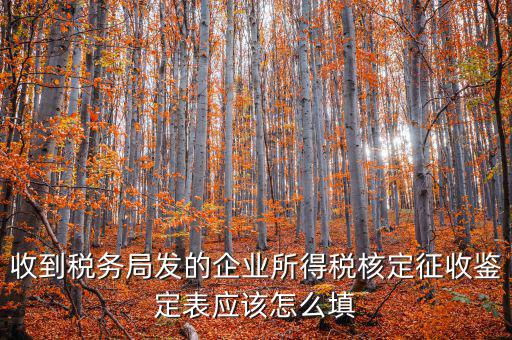 去稅務局核定征收填什么，核定征收企業(yè)報所得稅在去稅務局核定時需要拿什么資料