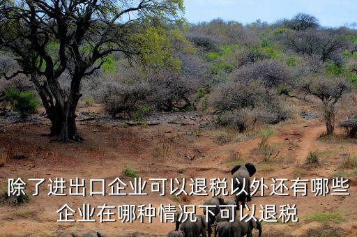 中國什么公司可以退稅，除了進出口企業(yè)可以退稅以外還有哪些企業(yè)在哪種情況下可以退稅