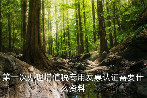 第一次辦理增值稅專用發(fā)票認證需要什么資料