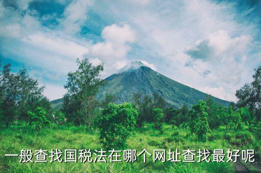 一般查找國稅法在哪個(gè)網(wǎng)址查找最好呢