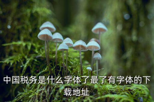 中國稅務是什么字體，中國稅務是什么字體了最了有字體的下載地址