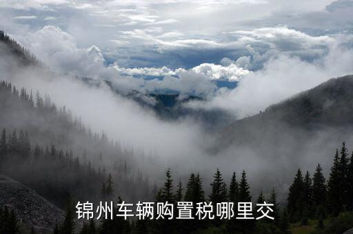 錦州國稅局車輛購置部門是什么，錦州機動車購置稅在哪里交