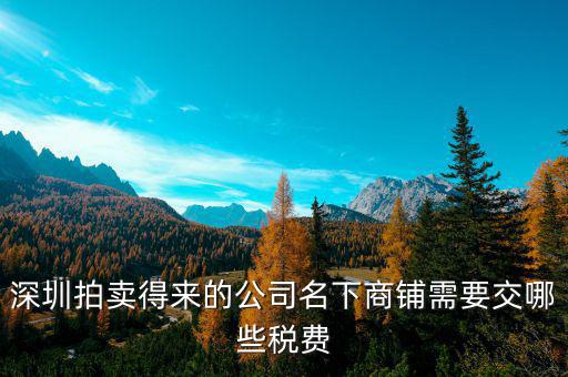 拍賣公司交什么稅，拍賣公司取得的傭金收入2000交哪些稅