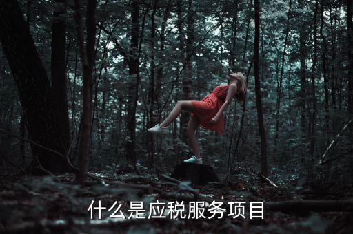什么事納稅服務(wù)，什么是應(yīng)稅服務(wù)項目