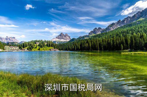 深圳國(guó)稅的網(wǎng)址是什么，深圳市國(guó)稅局網(wǎng)