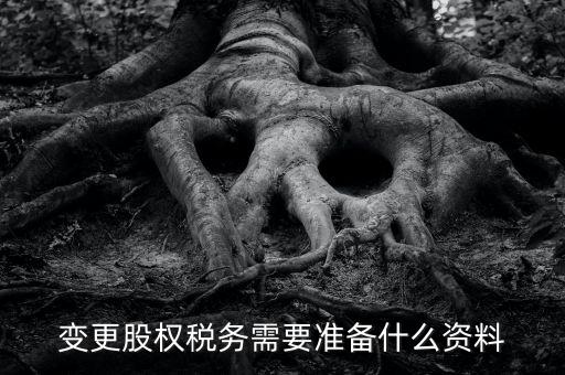 股權(quán)變更完稅憑證需要什么資料，變更股權(quán)稅務(wù)需要準(zhǔn)備什么資料