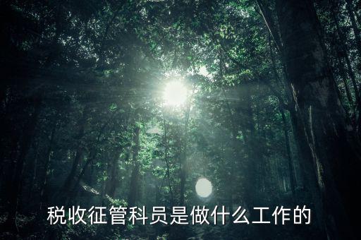 國(guó)稅局征管員和企業(yè)要做什么，稅收征管的公務(wù)員主要做什么工作
