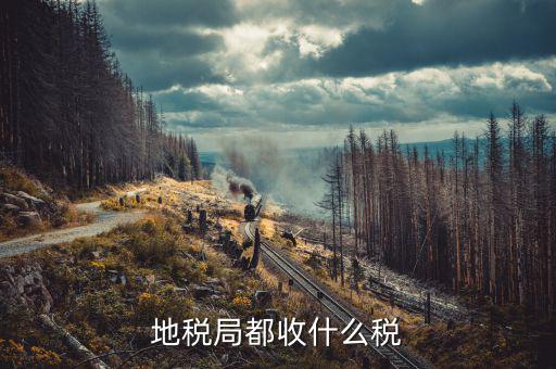 河北地稅繳什么稅種，地稅交什么稅