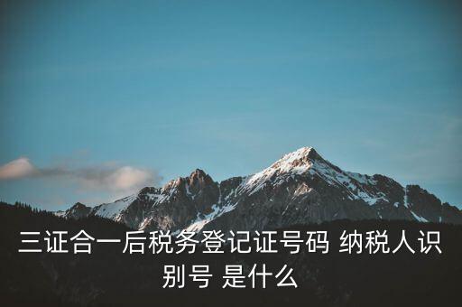 三證合一納稅識別號是什么，三證合一后納稅人識別號是什么意思