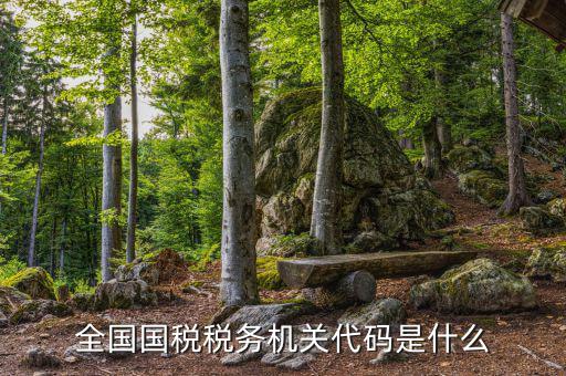 國稅的用戶代碼是什么，國稅局發(fā)票軟件里用戶代碼和密碼是什么