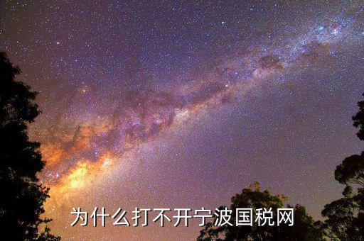 寧波國稅app為什么登陸不上，為什么打不開寧波國稅網(wǎng)