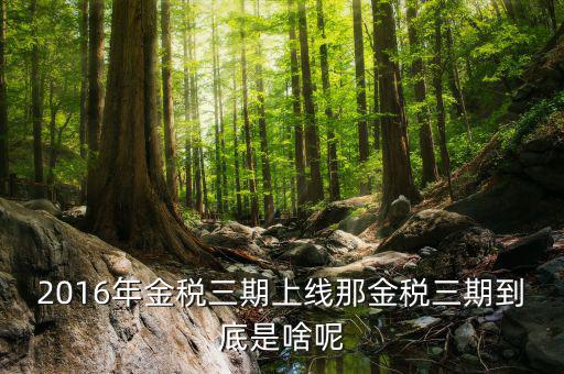 什么是進(jìn)稅三期，金稅三期是什么意思
