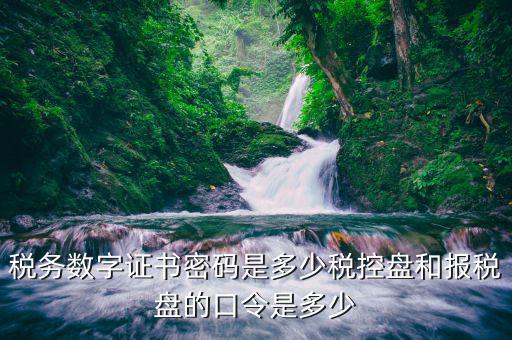 稅控盤稅務數(shù)字證書密碼是什么，稅控證書密碼是多少只有可能是8位嗎