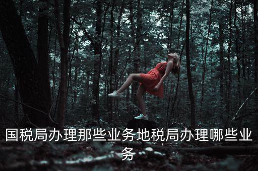 地稅辦理什么業(yè)務(wù)，國(guó)稅局辦理那些業(yè)務(wù)地稅局辦理哪些業(yè)務(wù)