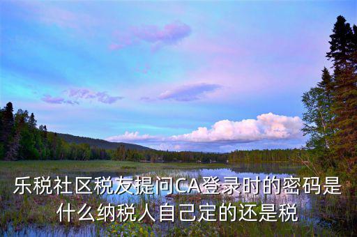 樂稅社區(qū)稅友提問CA登錄時(shí)的密碼是什么納稅人自己定的還是稅