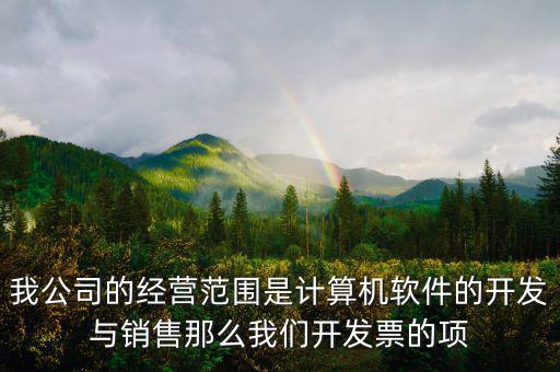 我公司的經(jīng)營(yíng)范圍是計(jì)算機(jī)軟件的開發(fā)與銷售那么我們開發(fā)票的項(xiàng)