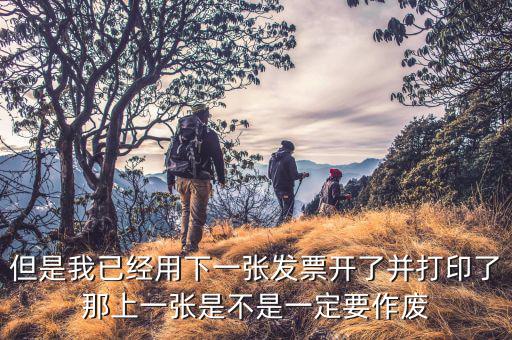 為什么要作廢空白發(fā)票，增值稅空白發(fā)票作廢但是我在查發(fā)票作廢時(shí)作廢狀態(tài)是填開作廢怎么辦