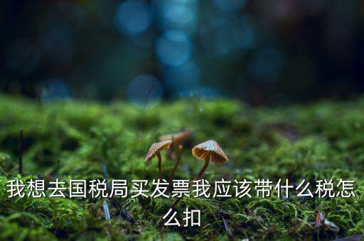 去國稅局扣稅需帶什么，我想去國稅局買發(fā)票我應(yīng)該帶什么稅怎么扣