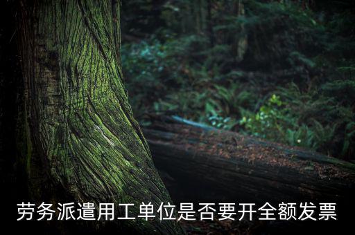 勞務(wù)派遣開什么票，勞務(wù)派遣小時工發(fā)票怎么開