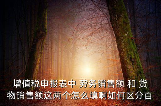 增值稅申報表中 勞務銷售額 和 貨物銷售額這兩個怎么填啊如何區(qū)分百
