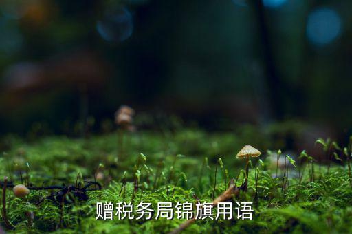 送錦旗給稅局可以寫什么內(nèi)容，贈(zèng)稅務(wù)局錦旗用語(yǔ)