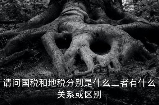 請(qǐng)問國(guó)稅和地稅分別是什么二者有什么關(guān)系或區(qū)別