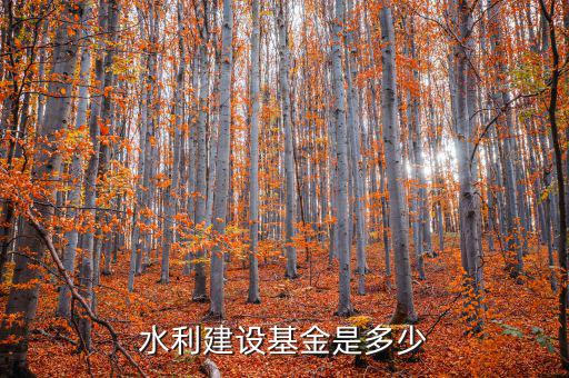 水利建設(shè)基金什么行業(yè)，水利工程這個(gè)專業(yè)畢業(yè)就業(yè)是什么行業(yè)的工作詳細(xì)工作類別
